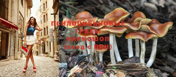 мяу мяу мука Зеленокумск