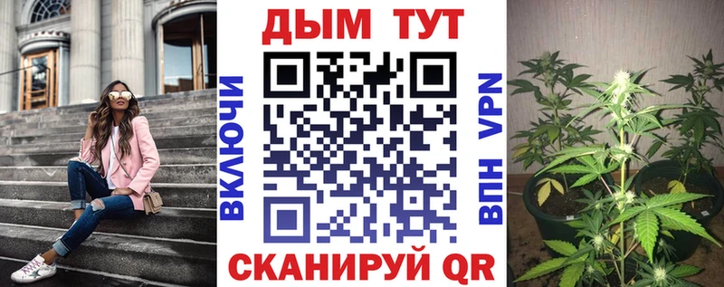 Шишки марихуана планчик  Купить где  Моздок 